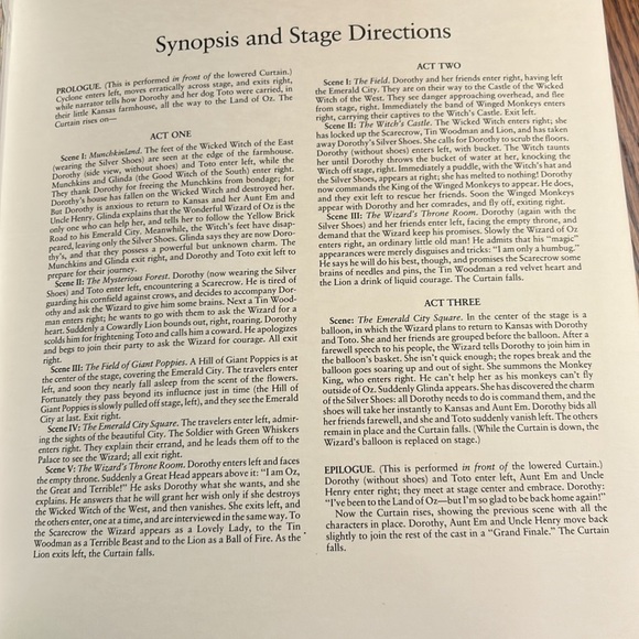 NWT The Wizard Of OZ Toy Theater Cut & Assemble Full Color Characters & Scenery - Picture 10 of 15